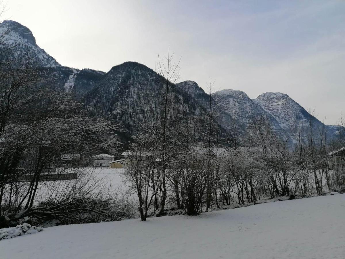 Apartament Apartma Angi Obertraun Zewnętrze zdjęcie